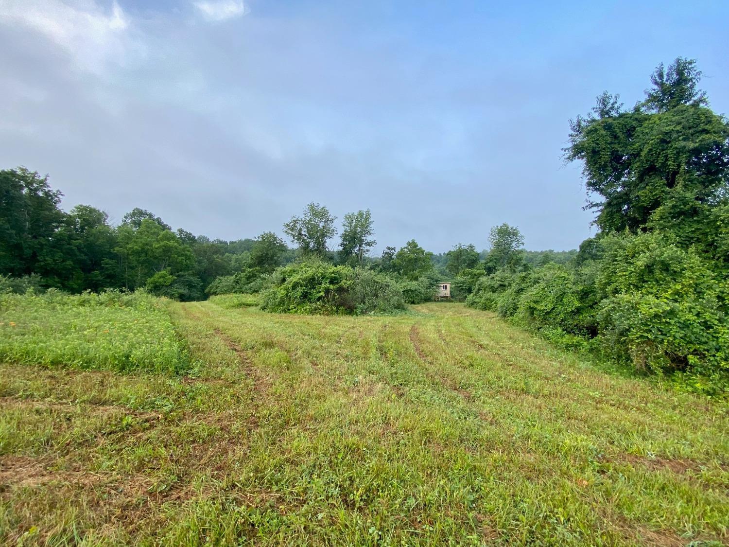 Acre Brier Ridge Road West Union, OH 45693 - Photo 18 of 27