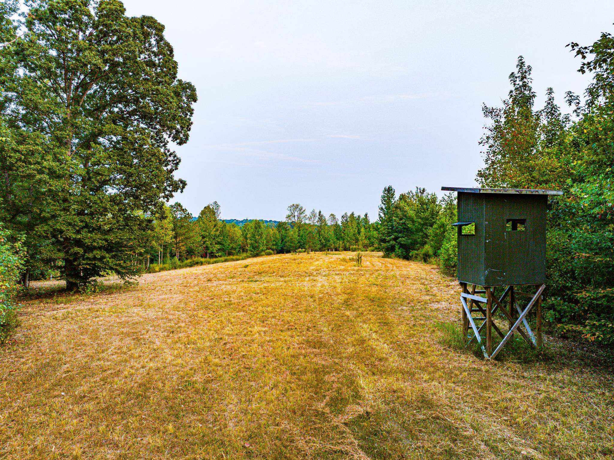 View of grassy yard featuring a wooded view