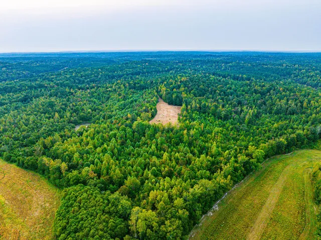 $475,000 | 211 Little House Road, Camden, TN 38320