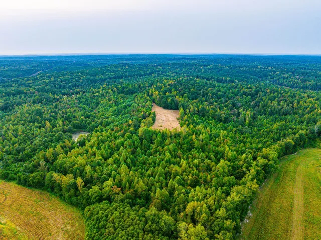 $475,000 | 211 Little House Road, Camden, TN 38320