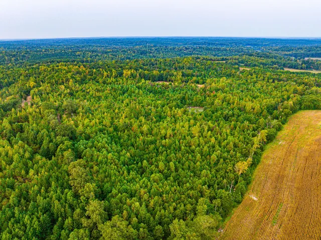 $475,000 | 211 Little House Road, Camden, TN 38320