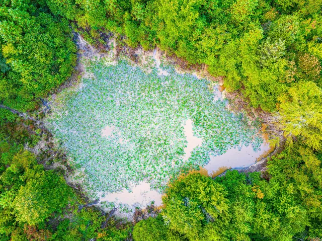 $475,000 | 211 Little House Road, Camden, TN 38320