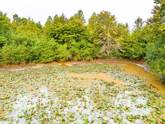 $475,000 | 211 Little House Road, Camden, TN 38320