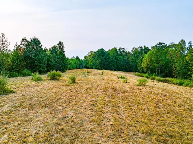 $475,000 | 211 Little House Road, Camden, TN 38320