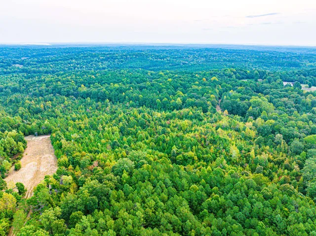 $475,000 | 211 Little House Road, Camden, TN 38320