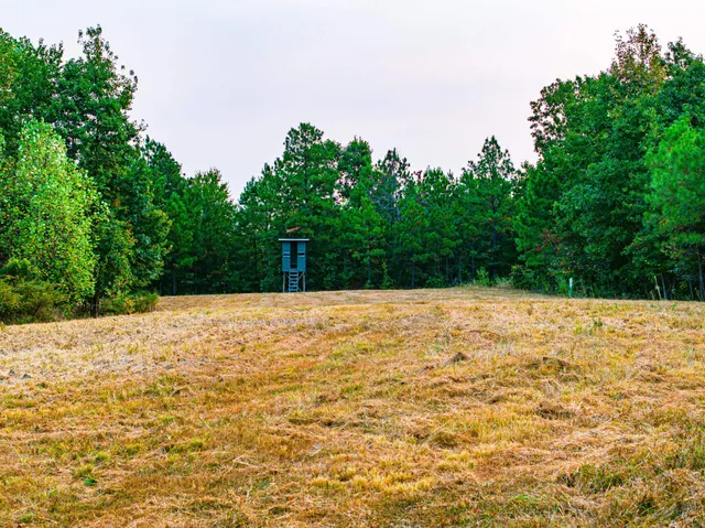 $475,000 | 211 Little House Road, Camden, TN 38320