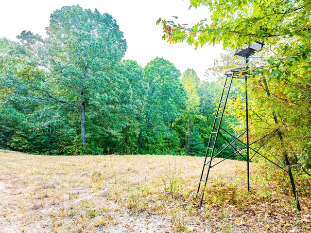 $475,000 | 211 Little House Road, Camden, TN 38320