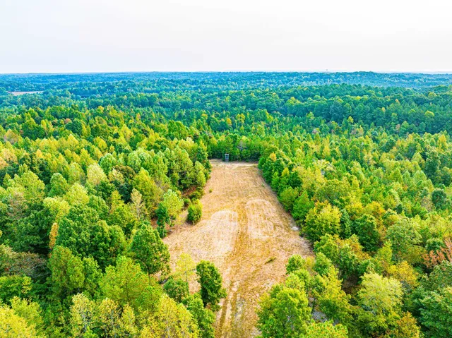 $475,000 | 211 Little House Road, Camden, TN 38320