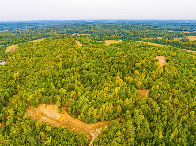 $475,000 | 211 Little House Road, Camden, TN 38320