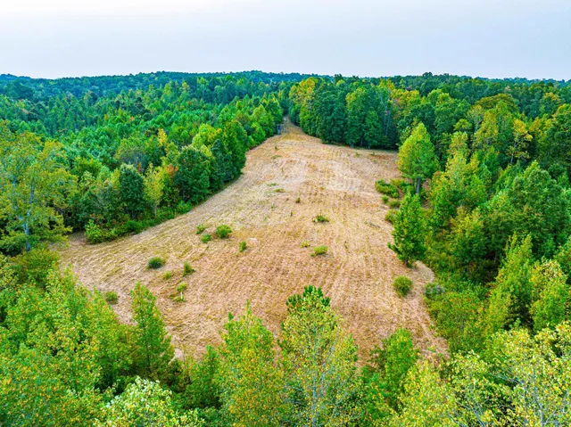 $475,000 | 211 Little House Road, Camden, TN 38320