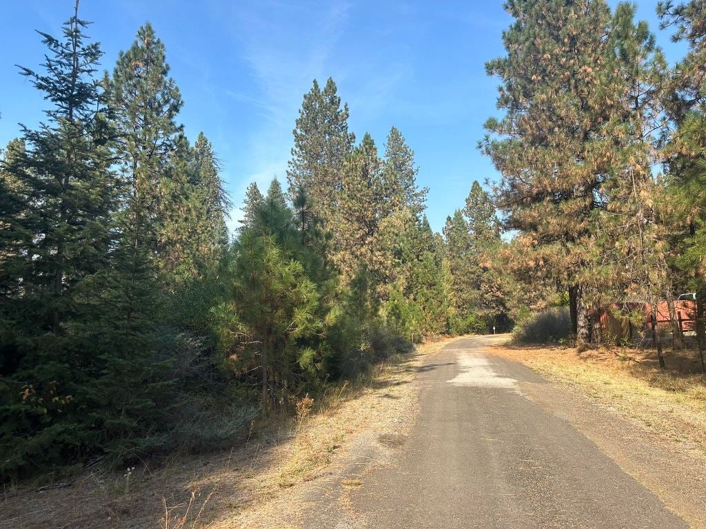 Spring Meadows Road McCloud, CA 96057 - Photo 13 of 16 Gallery Image 13