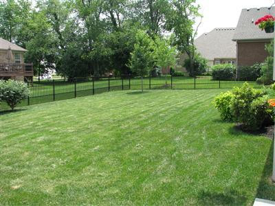 2412 Rockminster Road Lexington, KY 40509 - Photo 37 of 41 Rear yard is fully enclosed with wrought