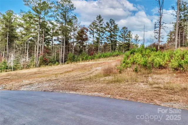 a view of a yard with an umbrella