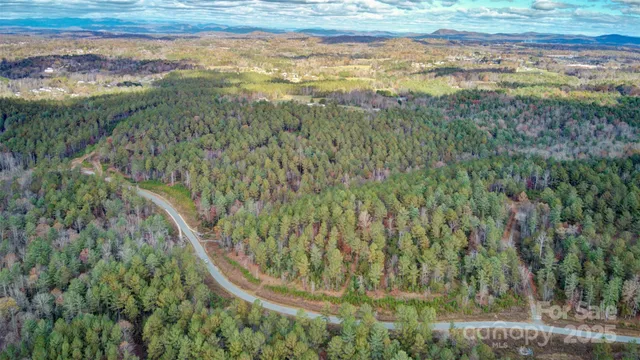 a view of a forest with a forest