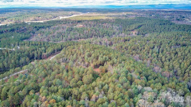 a view of a lush green forest with a lake