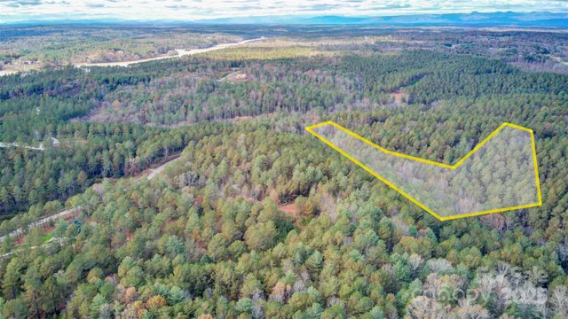 a view of a lush green hillside and a forest