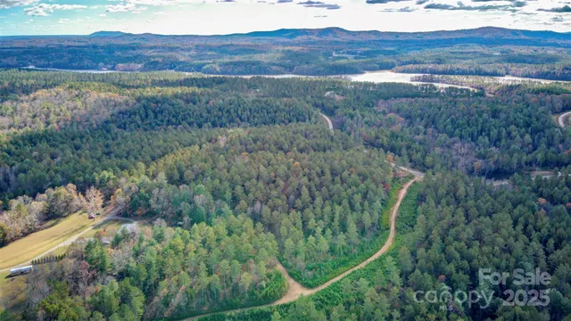 a view of a backyard with a lake