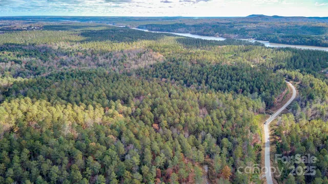 a view of a yard with plants and wooden fence