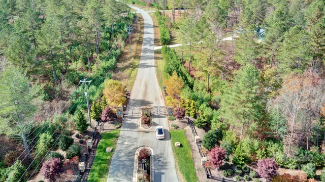 a view of a yard with plants