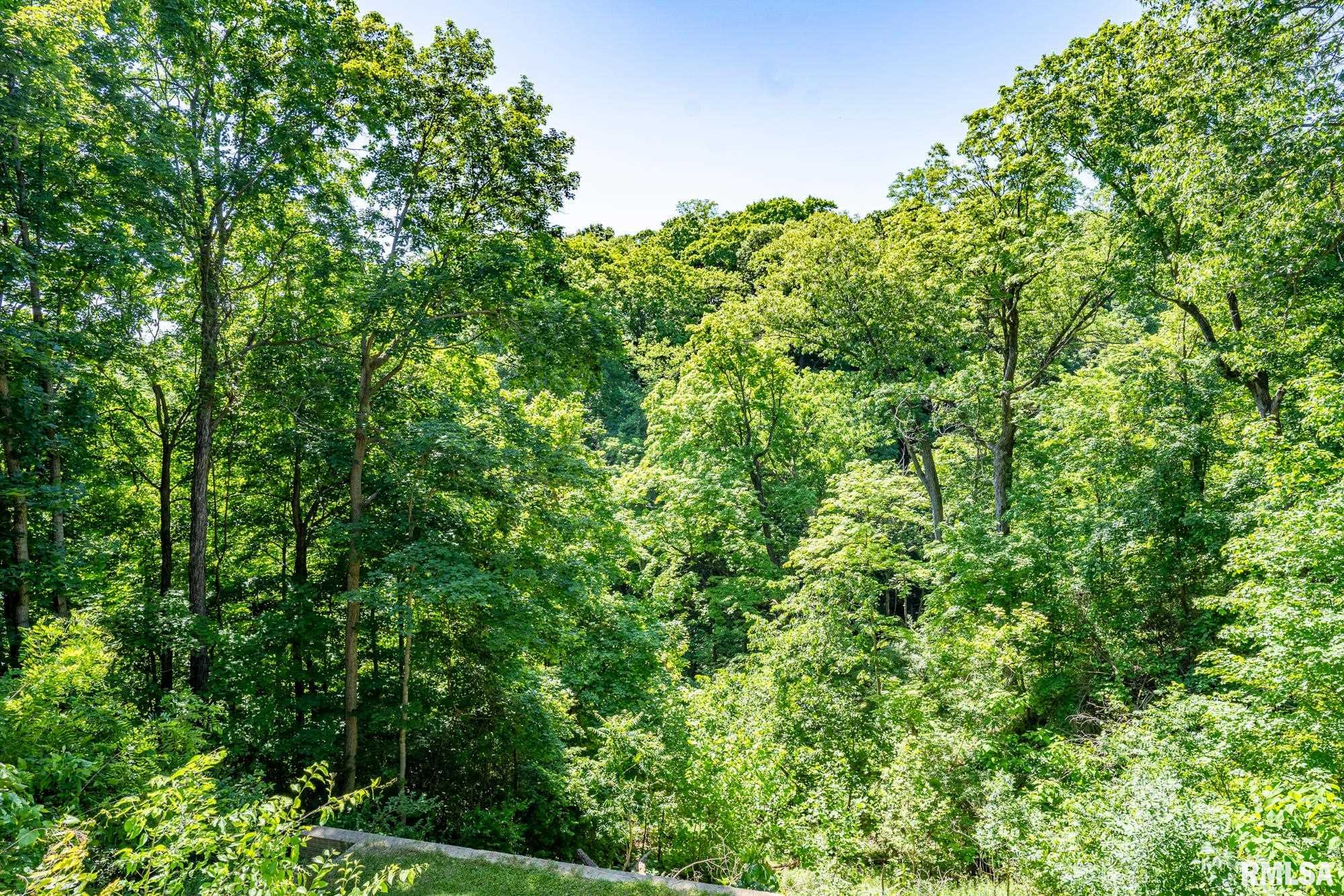 9210 North Frye Road Peoria, IL 61615 - Photo 64 of 90 Gallery Image 64