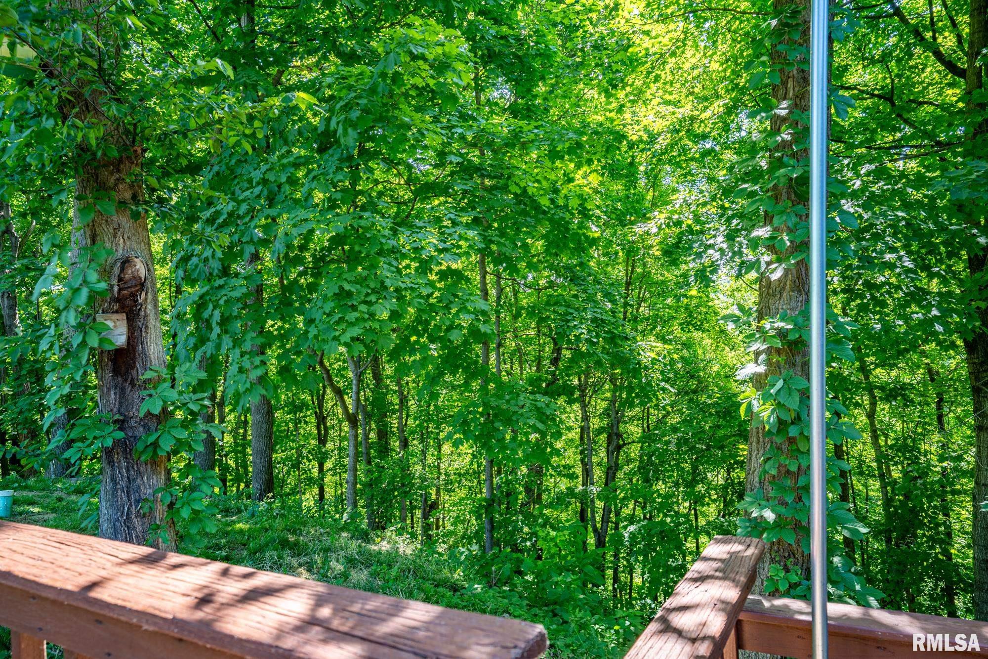 9210 North Frye Road Peoria, IL 61615 - Photo 67 of 90 Gallery Image 67