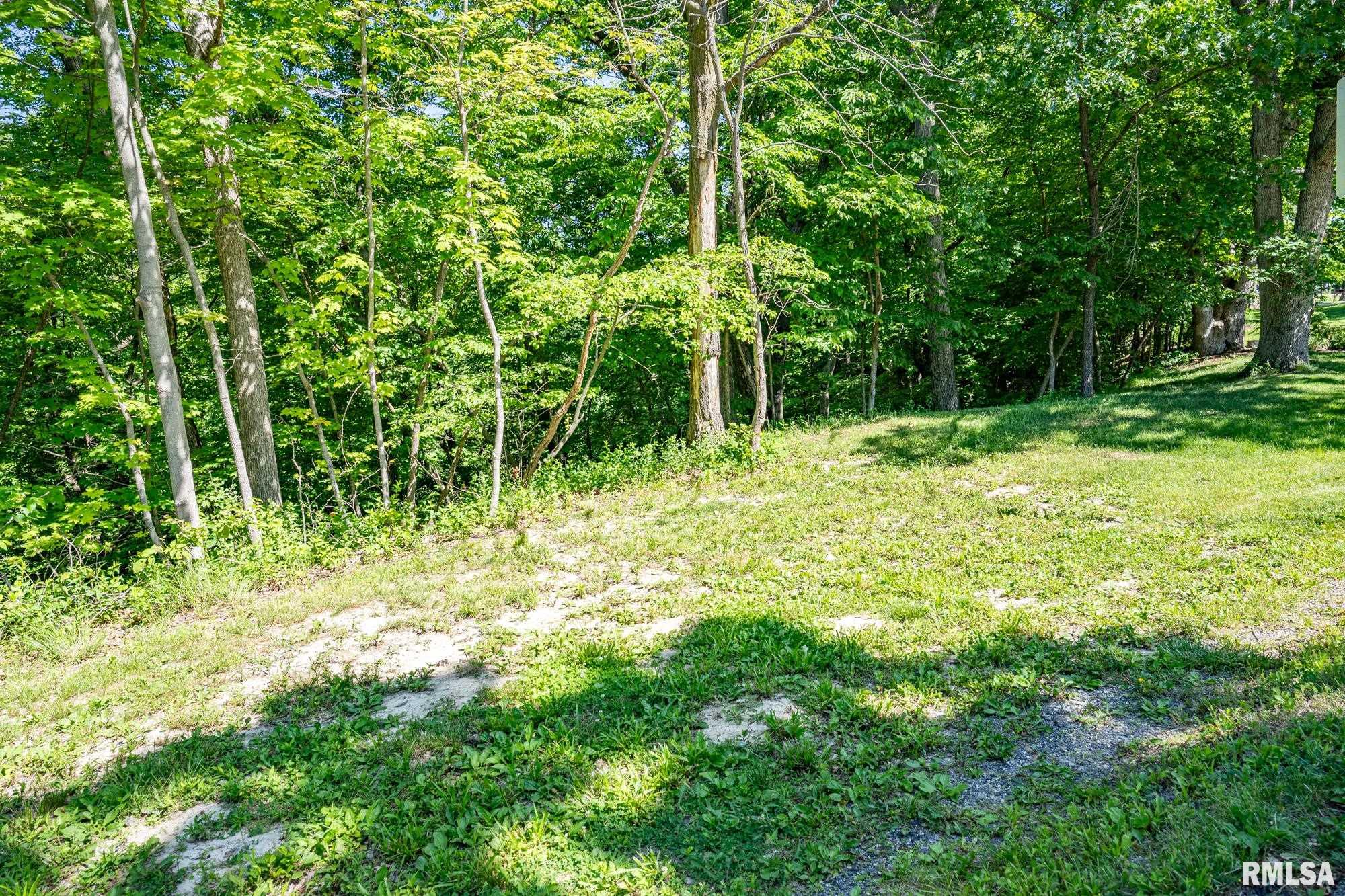 9210 North Frye Road Peoria, IL 61615 - Photo 73 of 90 Gallery Image 73