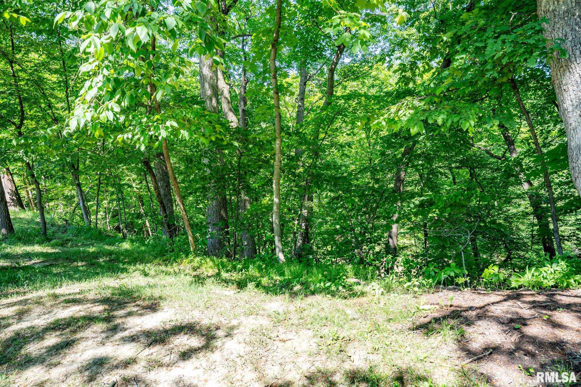 9210 North Frye Road Peoria, IL 61615 - Photo 75 of 90 Gallery Image 75