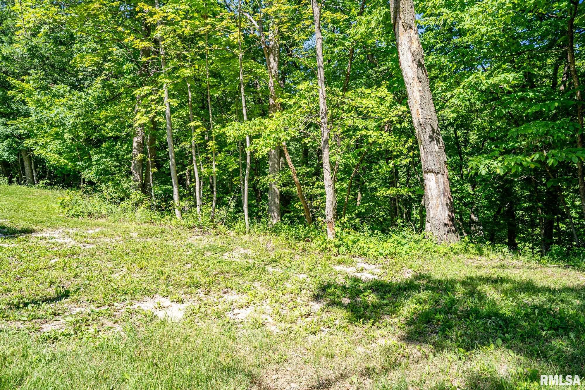 9210 North Frye Road Peoria, IL 61615 - Photo 76 of 90 Gallery Image 76