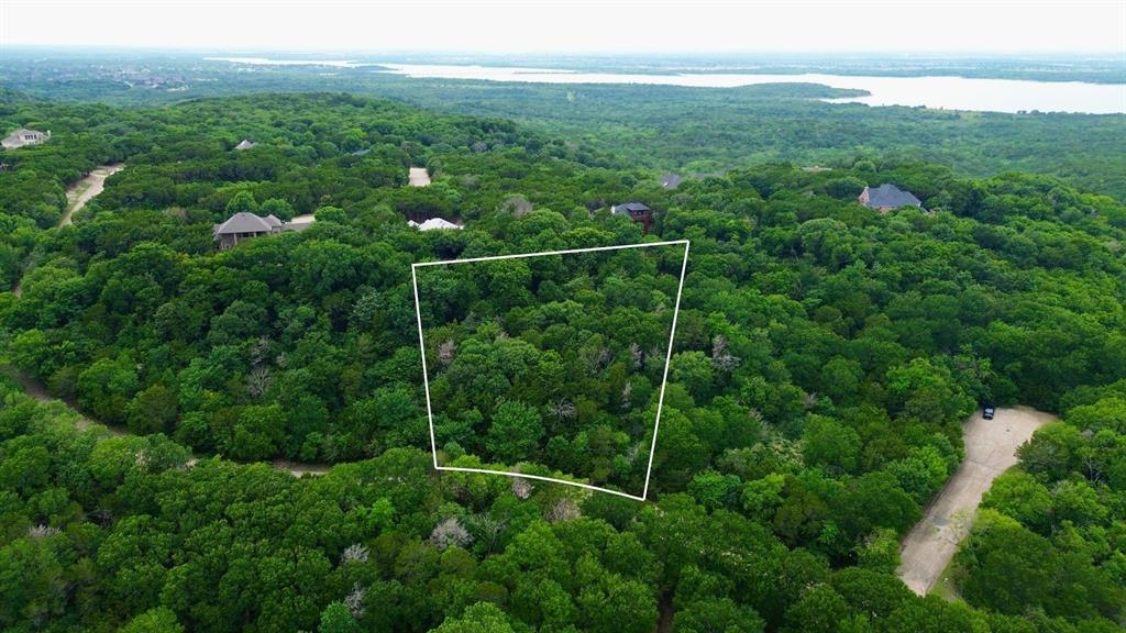 1917 Juniper Ridge Road Cedar Hill, TX 75104 - Photo 5 of 23 a view of a lush green forest