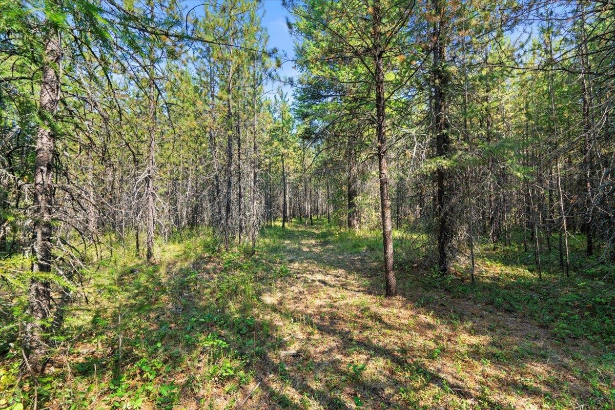 311 Bigfoot Road Newport, WA 99156 - Photo 15 of 22