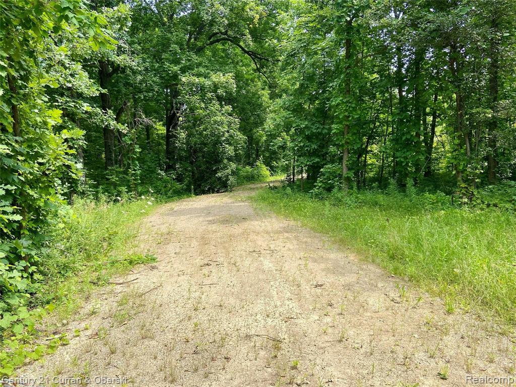 Vacant North Latson Road Howell, MI 48855 - Photo 31 of 33