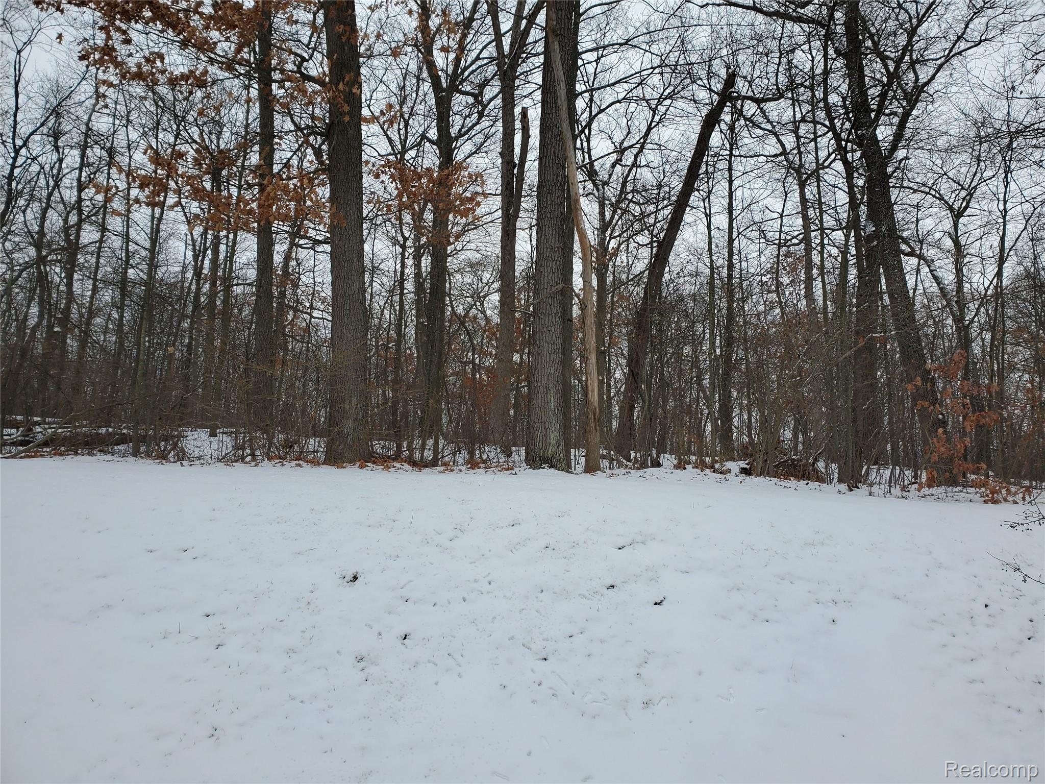106 Eagle Ridge Road Lake Orion, MI 48360 - Photo 12 of 27 20210104_125416 (2).jpg
