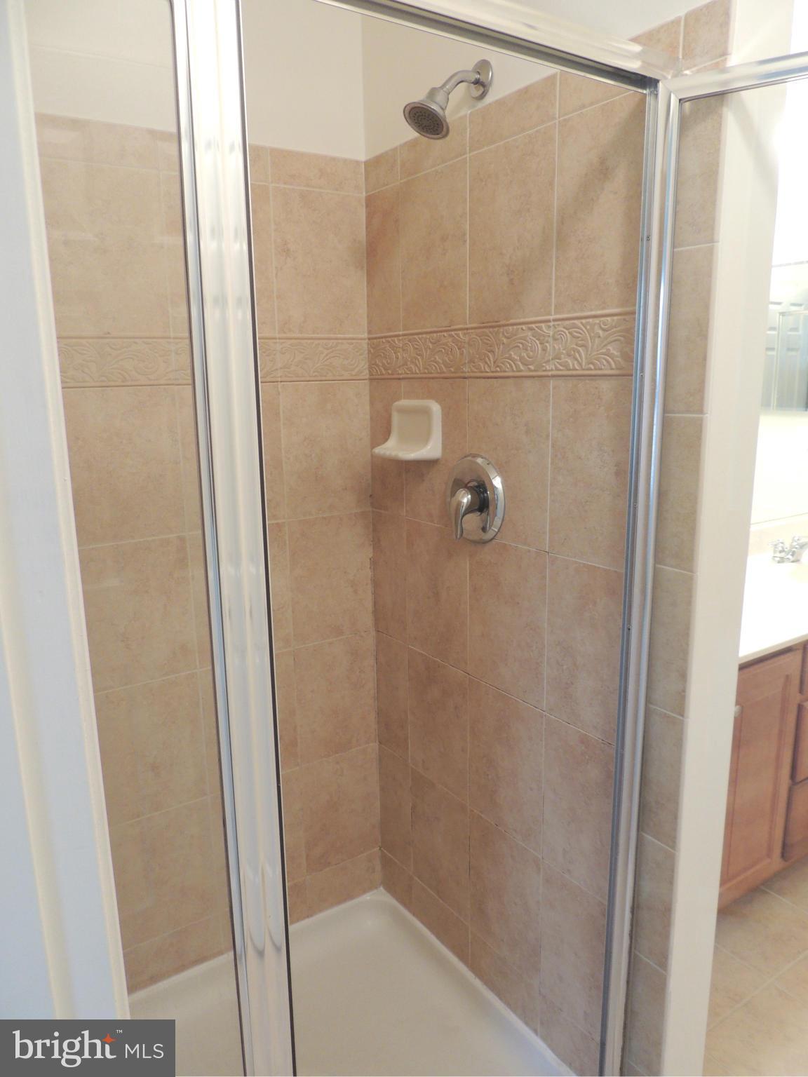 644 Tivoli Road Frederick, MD 21703 - Photo 16 of 17 Bath (Master)