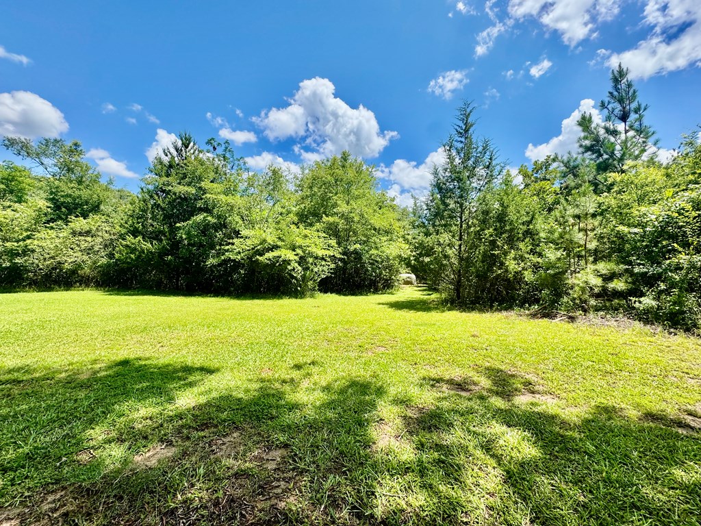 128 Joseph Road Ninety Six, SC 29666 - Photo 5 of 24 Gallery Image 5