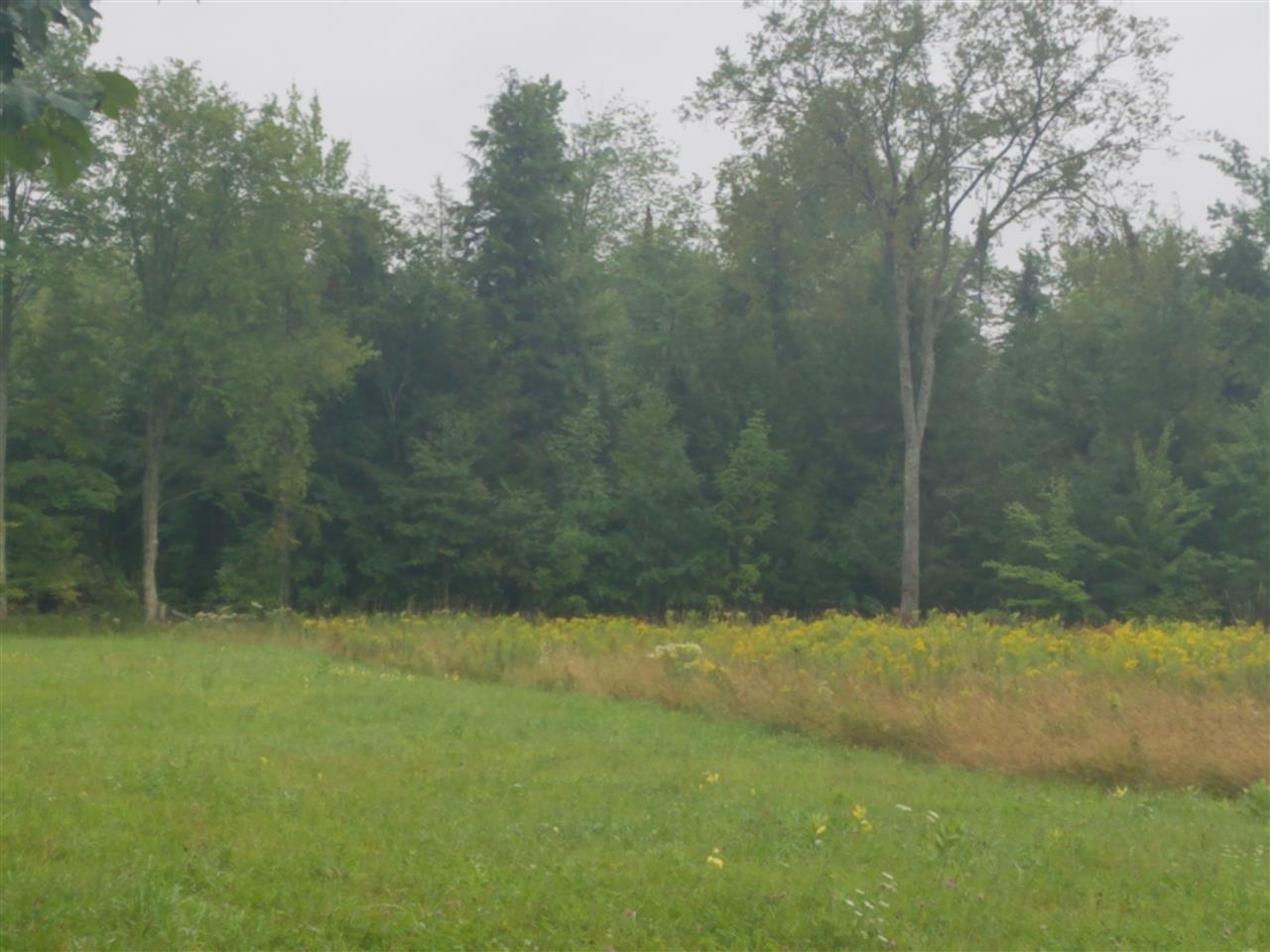 40-acres Birch Street Stevens Point, WI 54481 - Photo 1 of 1