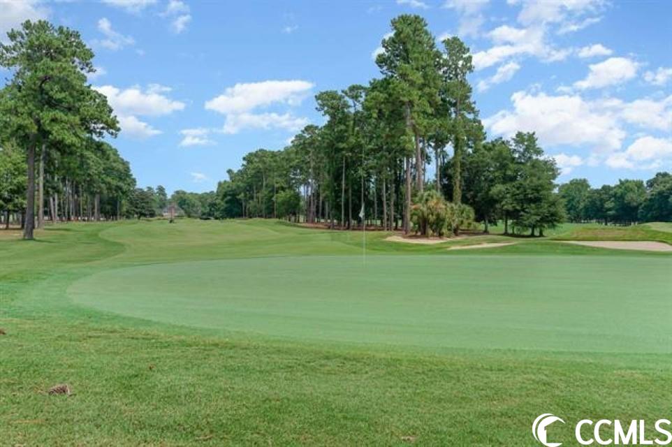 4328 Hunters Wood Drive Murrells Inlet, SC 29576 - Photo 32 of 39 Gallery Image 32
