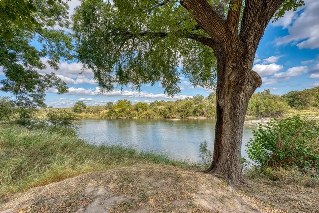 a view of a lake with a tree