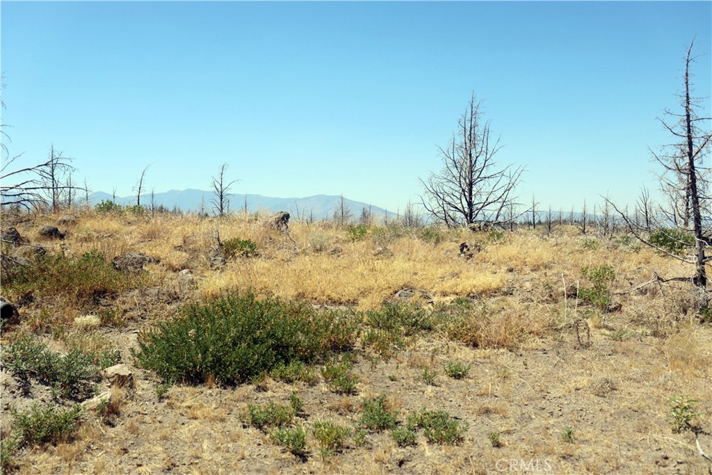 0 Juniper Valley Drive Weed, CA 96094 - Photo 12 of 15 a view of a snow on a field