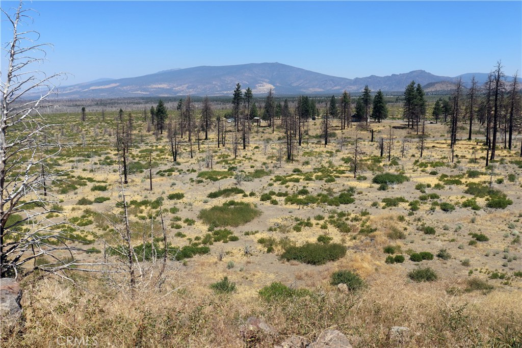 0 Juniper Valley Drive Weed, CA 96094 - Photo 13 of 15 a view of lake with mountain