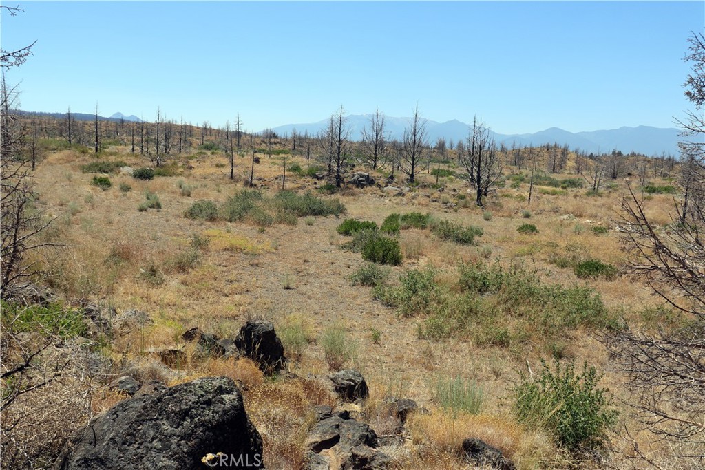 0 Juniper Valley Drive Weed, CA 96094 - Photo 3 of 15 a view of a yard with trees in the background