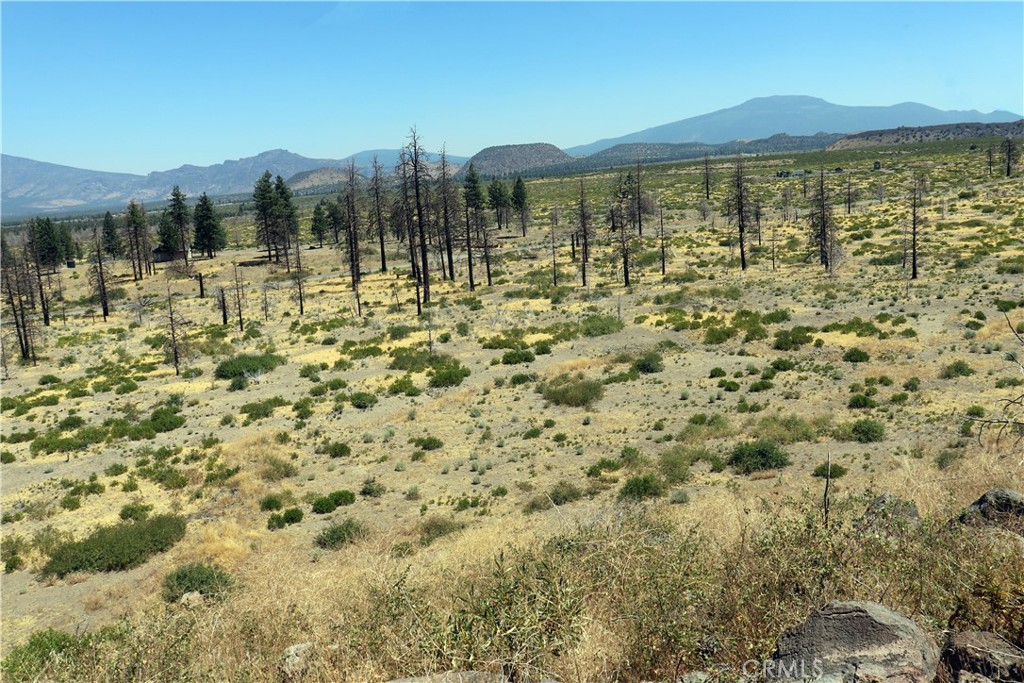 0 Juniper Valley Drive Weed, CA 96094 - Photo 4 of 15 a view of a lake with a mountain in the background