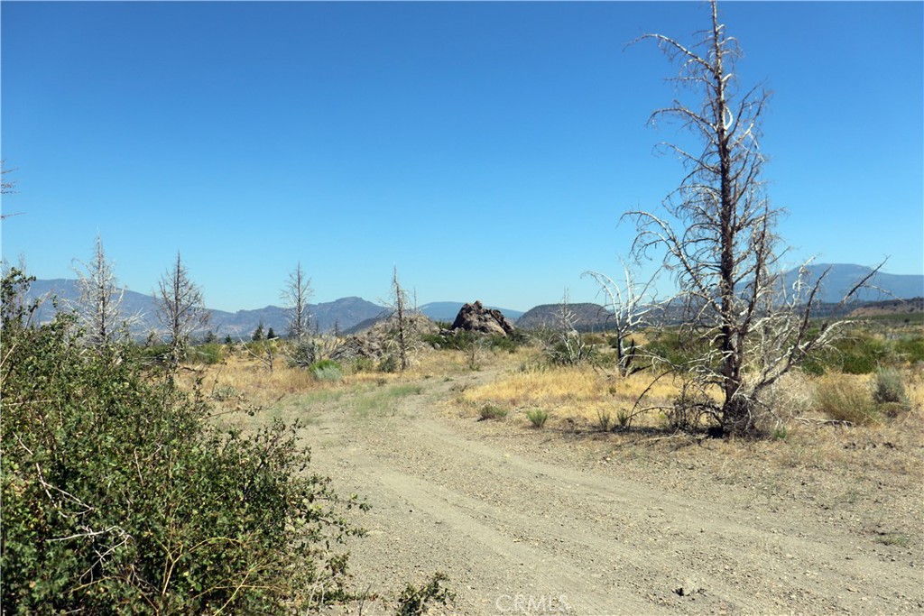 0 Juniper Valley Drive Weed, CA 96094 - Photo 6 of 15 a view of a dry yard with trees