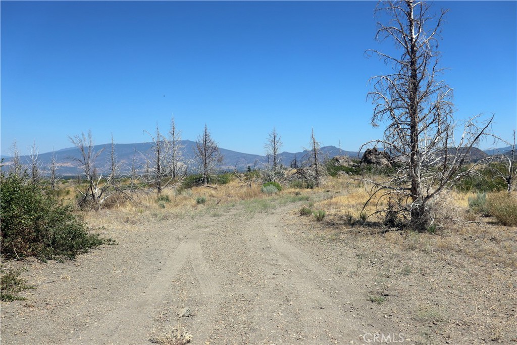 0 Juniper Valley Drive Weed, CA 96094 - Photo 7 of 15 a view of a dry yard