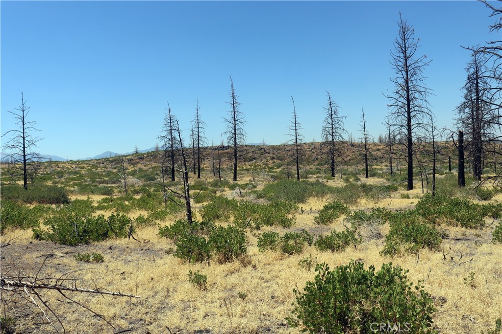 0 Juniper Valley Drive Weed, CA 96094 - Photo 10 of 15 a view of ocean