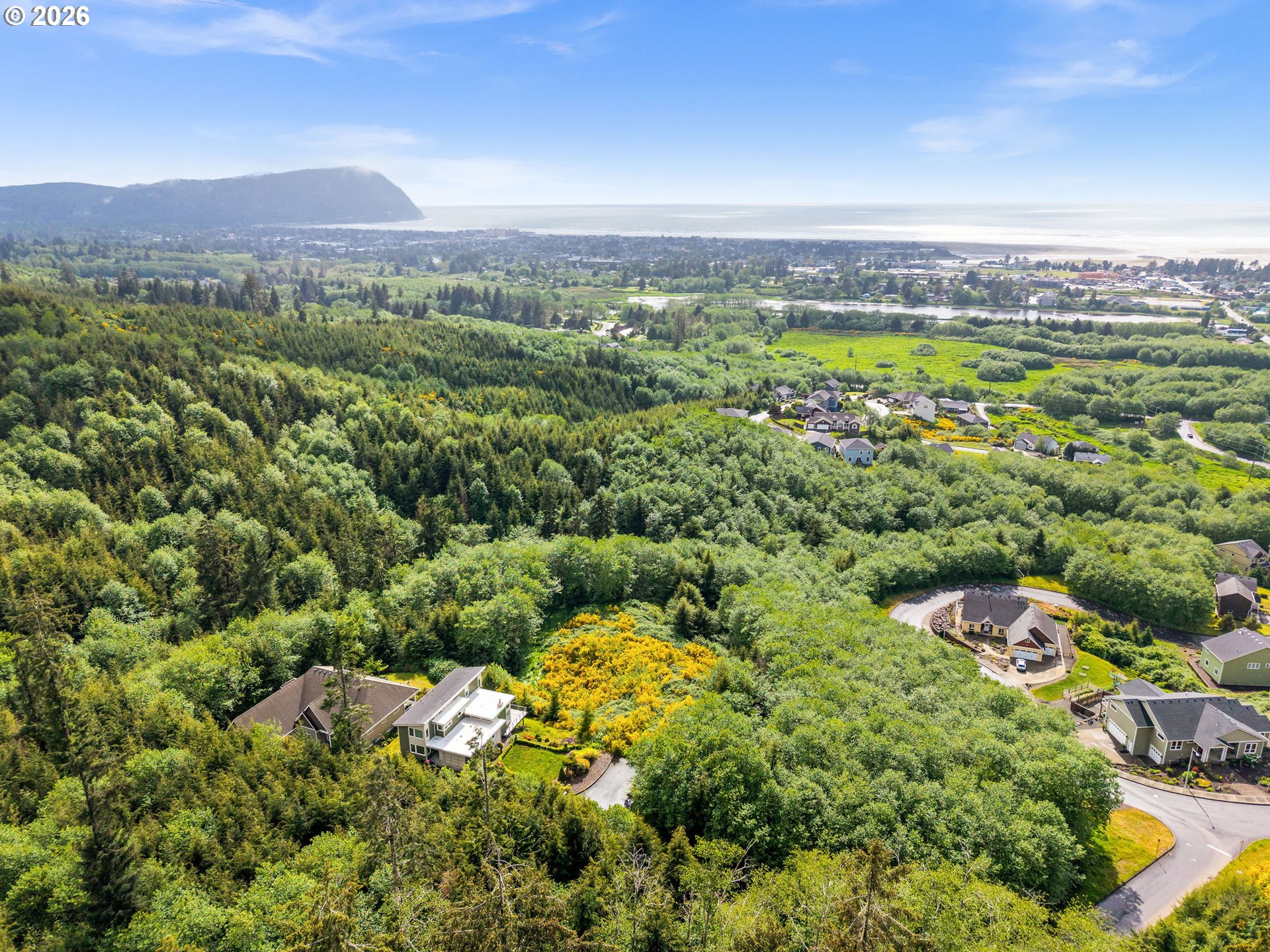 1915 North Fork Road Seaside, OR 97138 - Photo 6 of 12 a view of a city with lush green forest