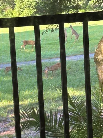 $175,000 | 3505 Tarpon Woods Boulevard, Unit H410, Palm Harbor, FL 34685