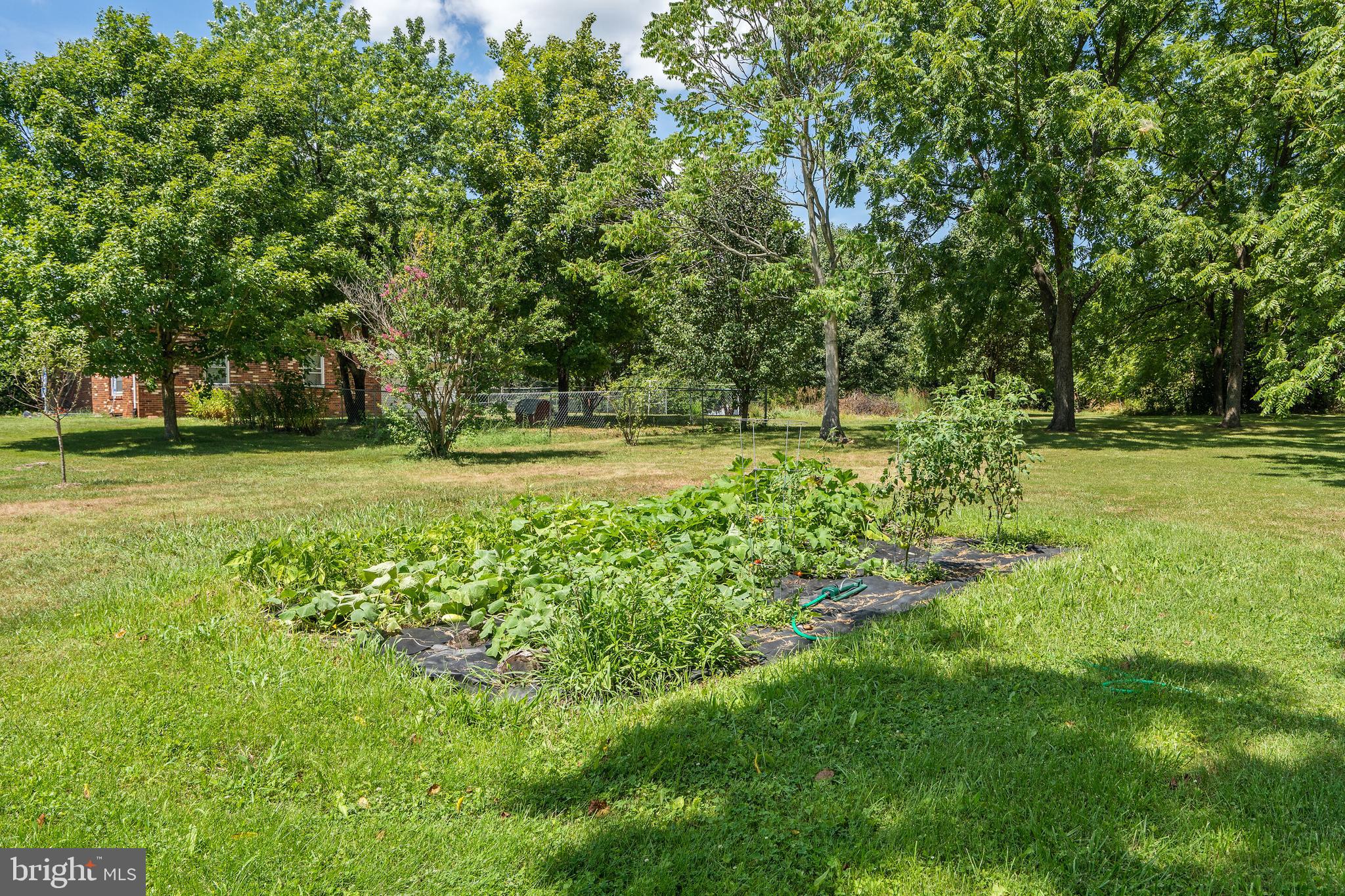 5370 Germantown Road Midland, VA 22728 - Photo 23 of 41