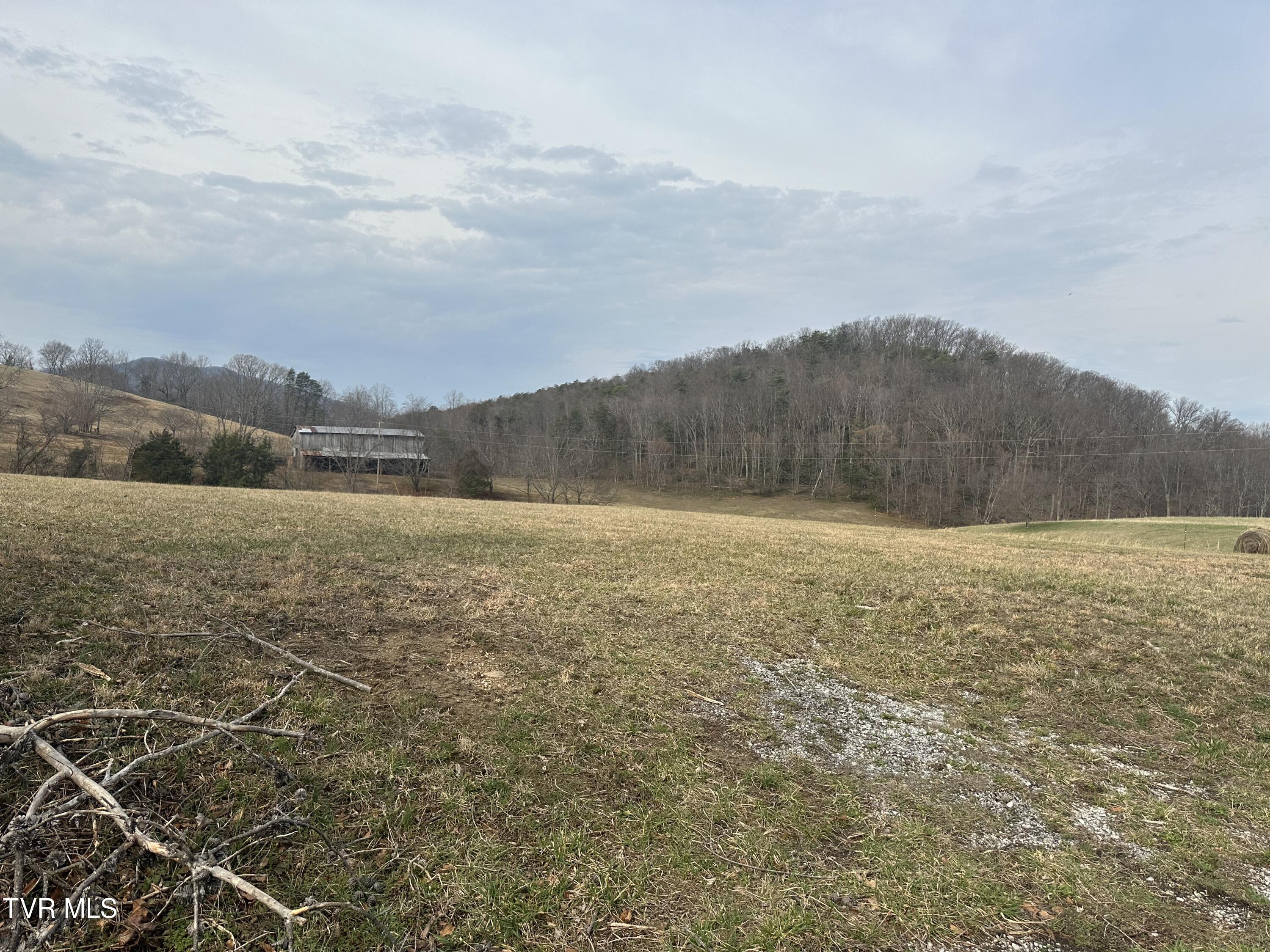 Tbd Kitchen Branch Road Greeneville, TN 37743 - Photo 6 of 6 IMG_2936