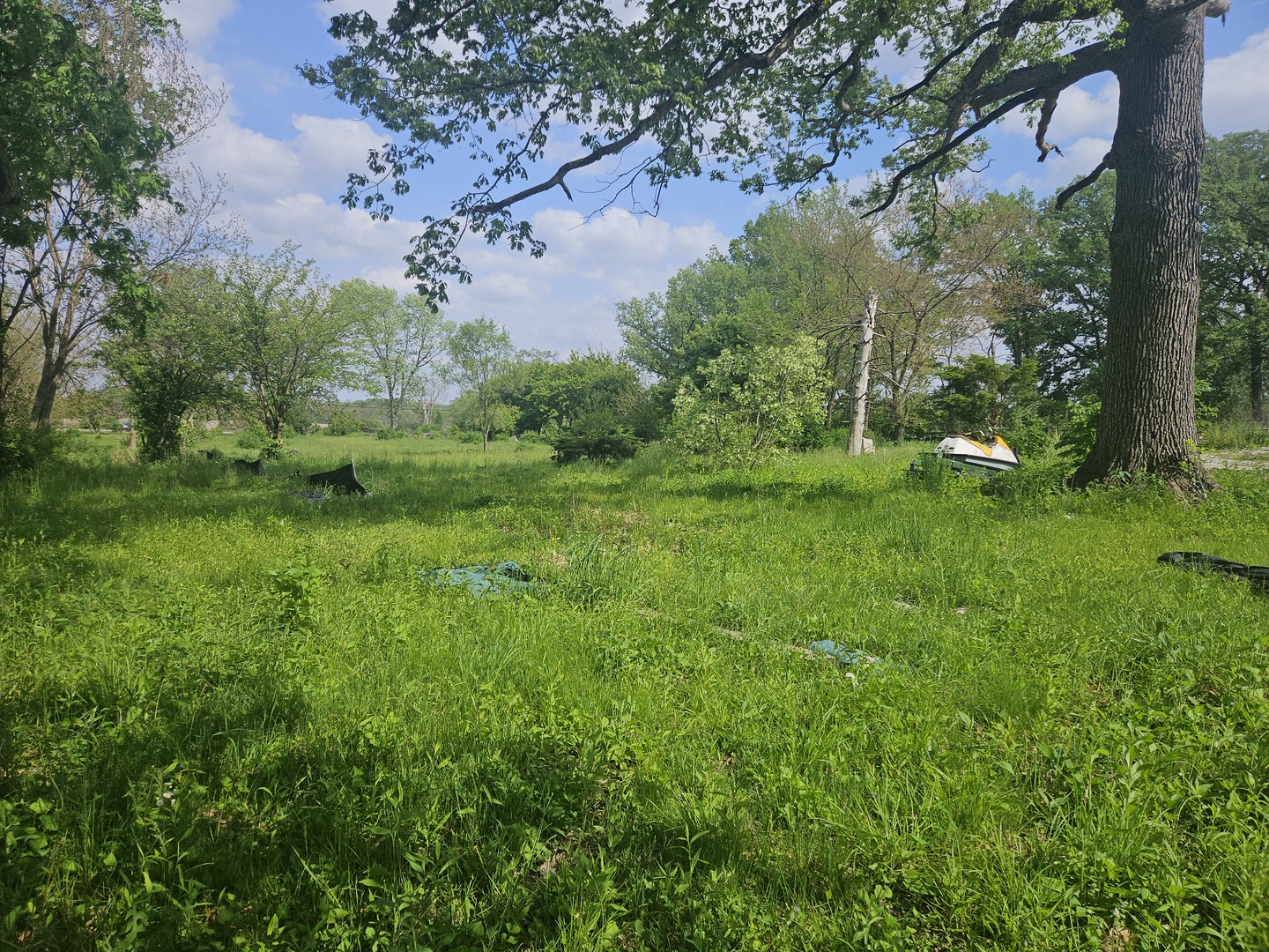 24232 Kings Road Crete, IL 60417 - Photo 8 of 11 a view of a lush green space