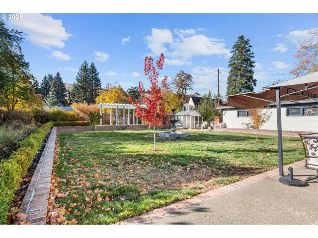 a view of a park with large trees